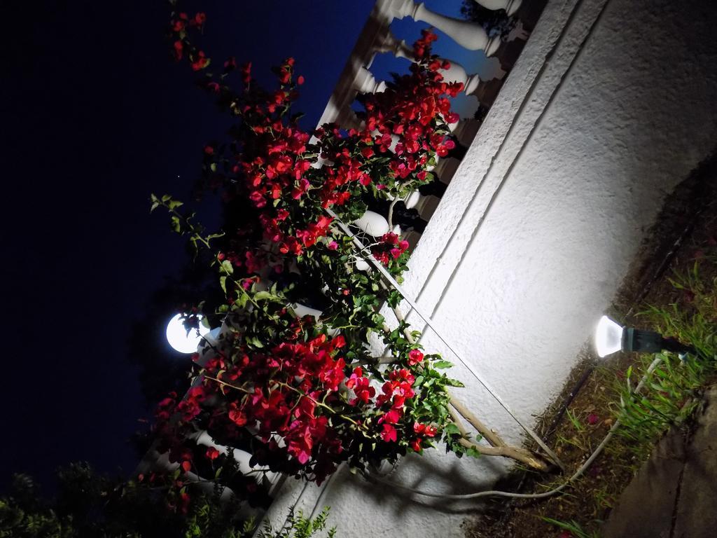 Galaxy Hotel Argostoli  Luaran gambar