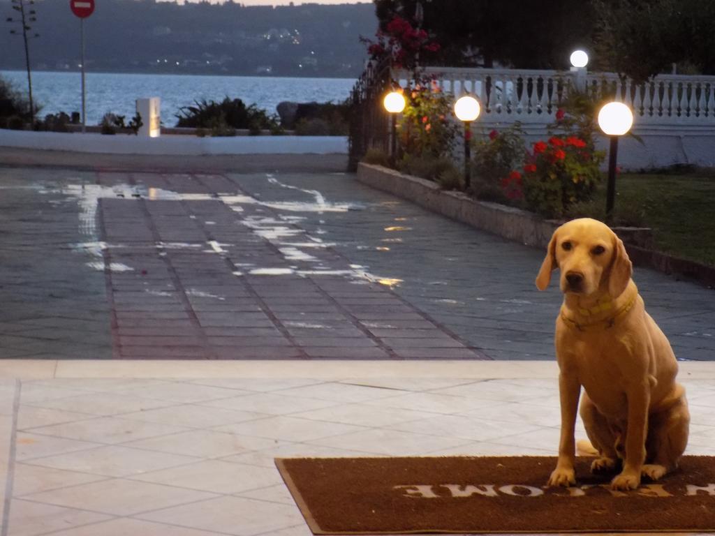 Galaxy Hotel Argostoli  Luaran gambar